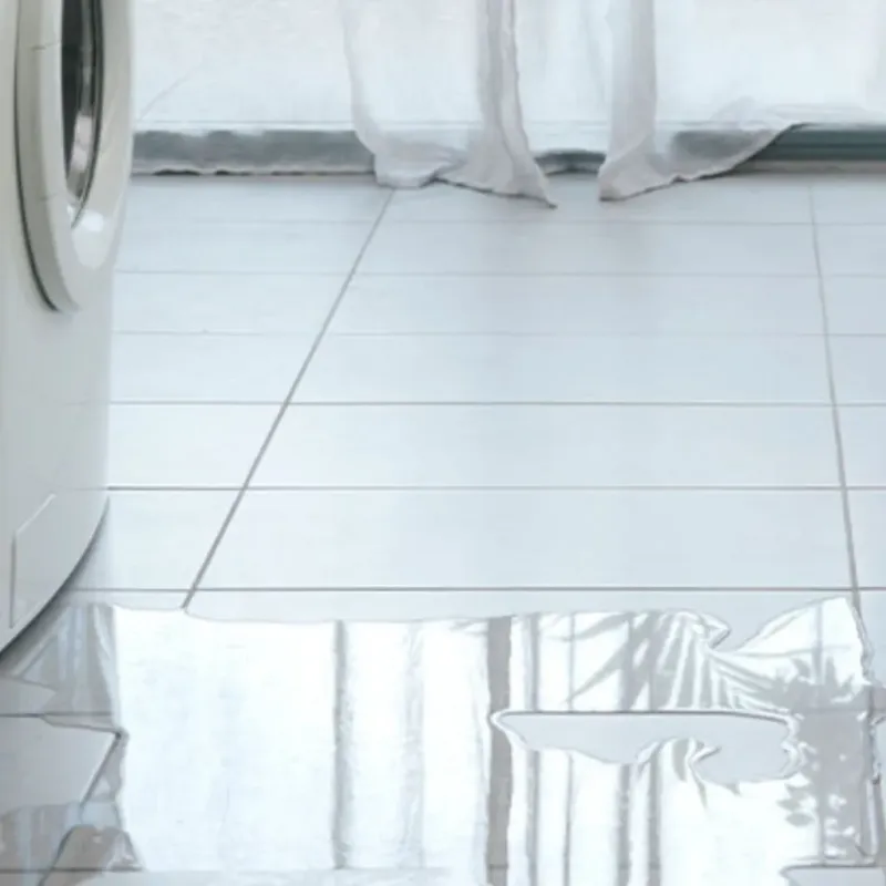 Appliance Leak Cleanup in Magalia, CA